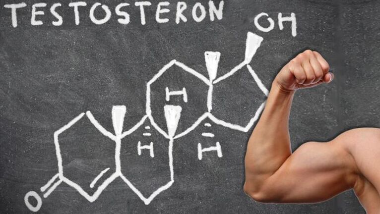 La testostérone est l'hormone sexuelle masculine la plus importante